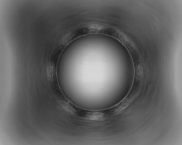 X0000116420463200912081507