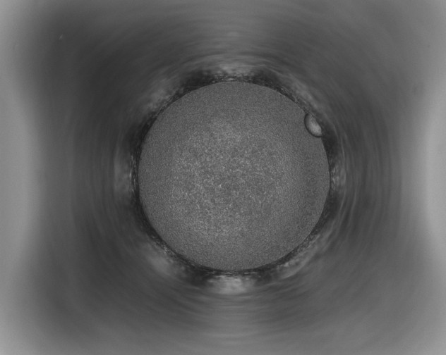 X0000116420464200912081507