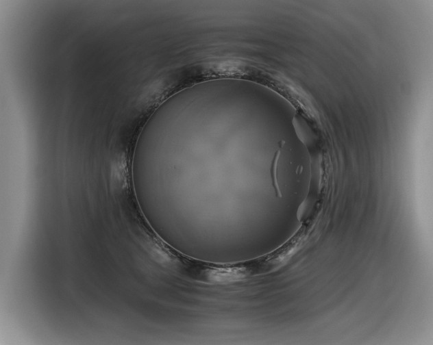 X0000116420465200912081507