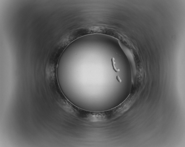 X0000116420466200912081507