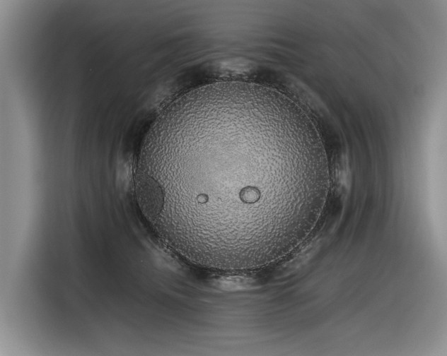 X0000116420468200912081507