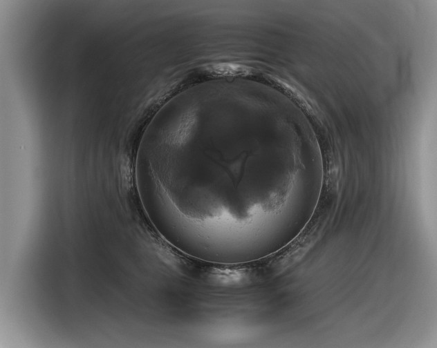 X0000116420469200912081507