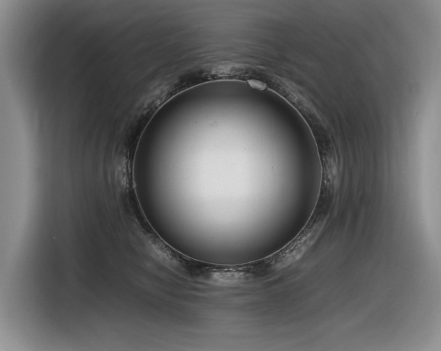 X0000116420470200912081507