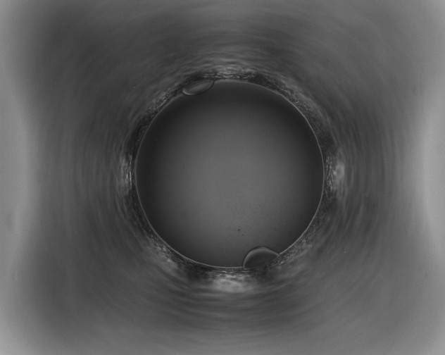 X0000116420471200912081507