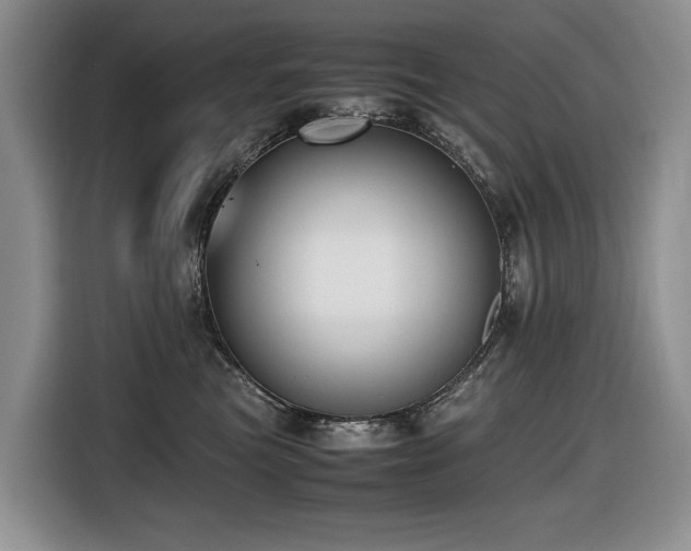 X0000116420473200912081507