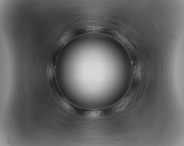 X0000116420474200912081507