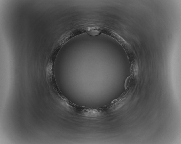 X0000116420475200912081507