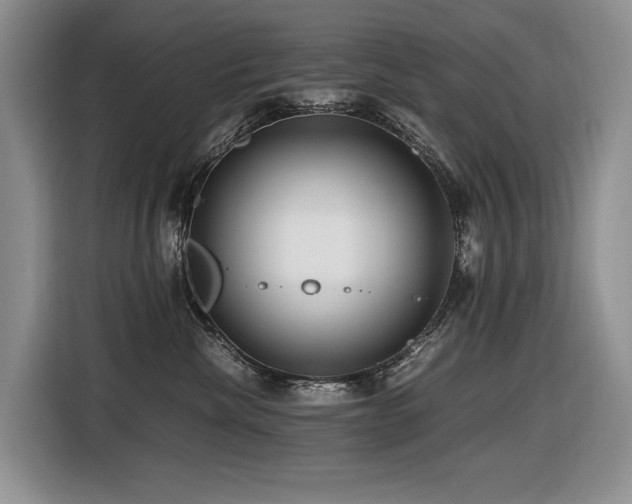 X0000116420476200912081507