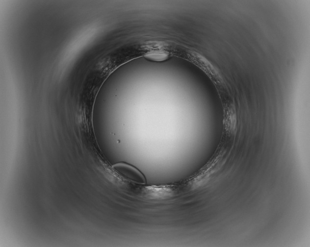 X0000116420477200912081507