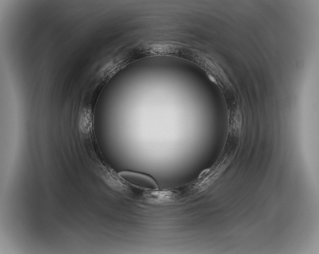 X0000116420478200912081508