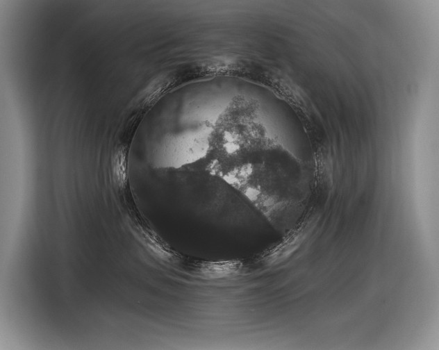 X0000116420479200912081508