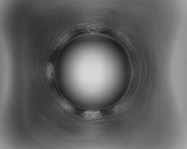 X0000116420480200912081508
