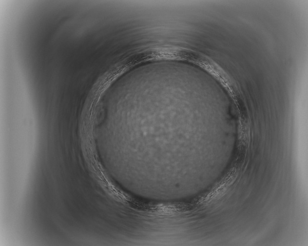 X0000116420481200912081507