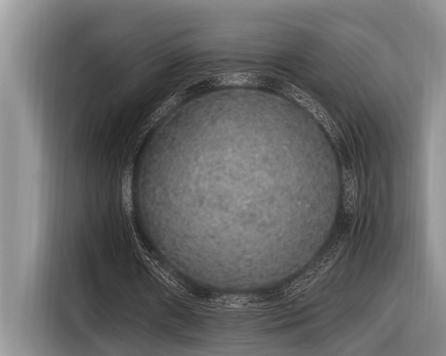 X0000116420482200912081507