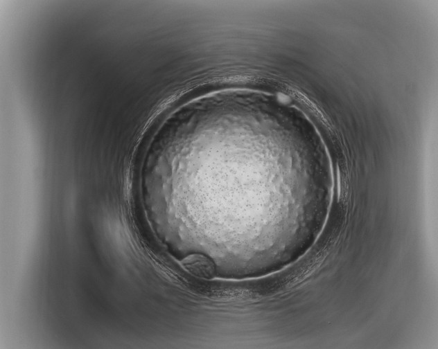 X0000116420483200912081507