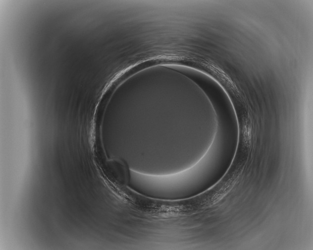 X0000116420484200912081507