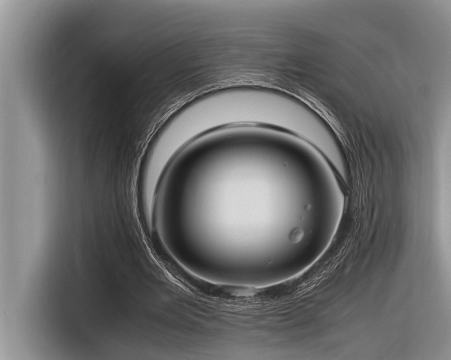 X0000116420485200912081507