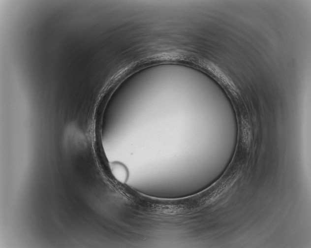 X0000116420486200912081507