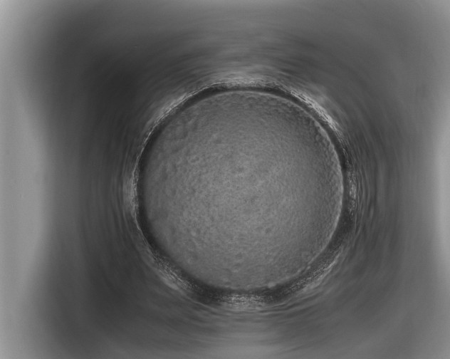 X0000116420487200912081507