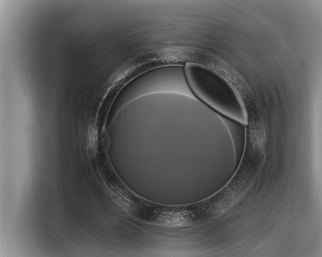 X0000116420488200912081507