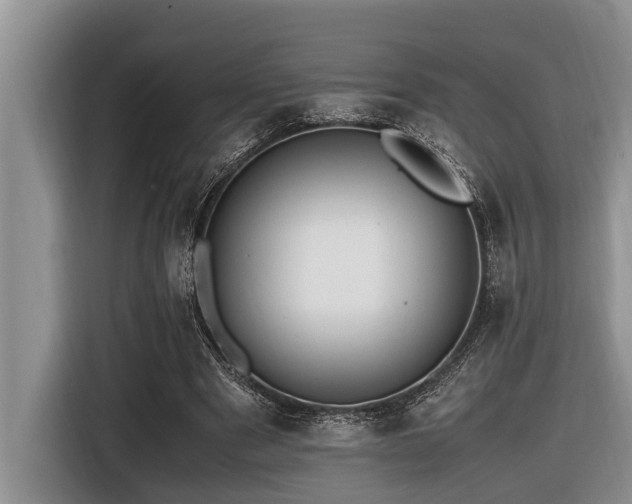 X0000116420489200912081507