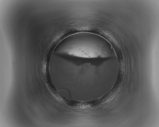 X0000116420491200912081507