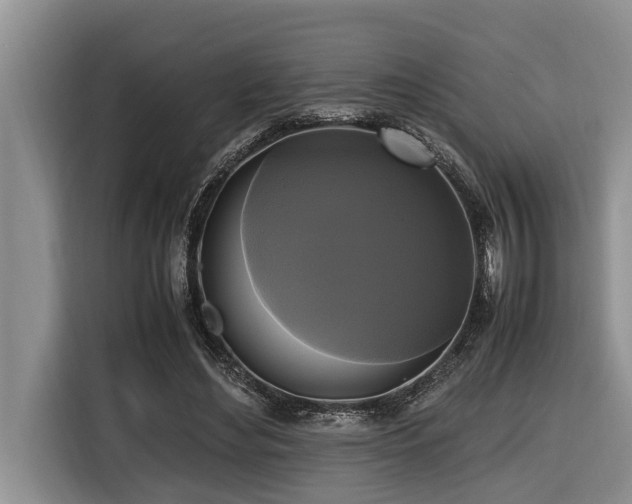 X0000116420492200912081507