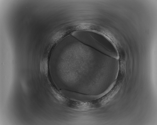 X0000116420493200912081507