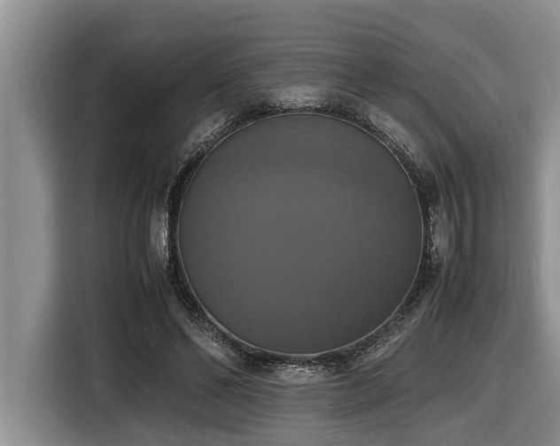 X0000116420494200912081507