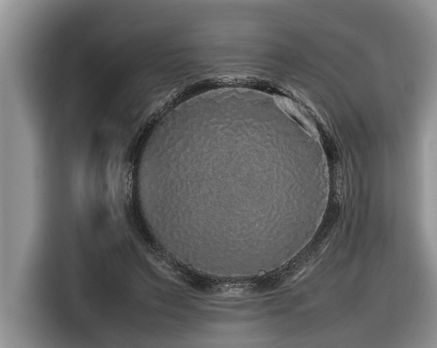 X0000116420495200912081507