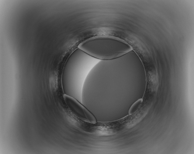 X0000116420496200912081507