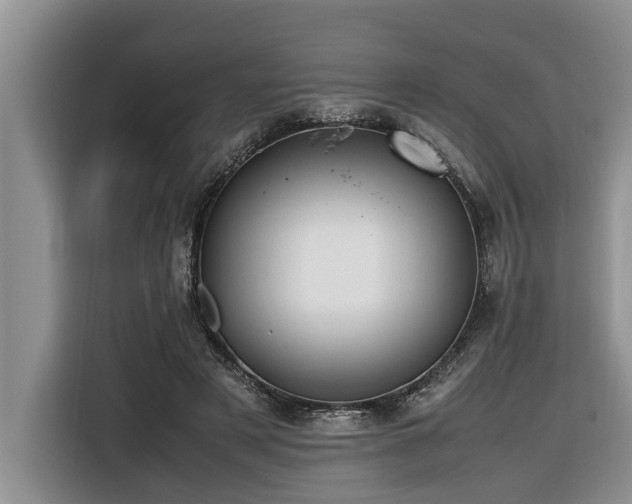 X0000116420497200912081507