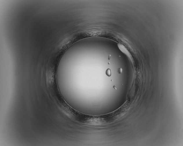 X0000116420499200912081507