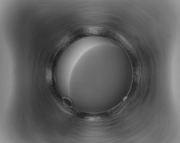X0000116420500200912081507