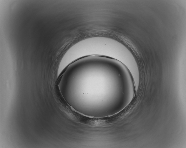 X0000116420501200912081507