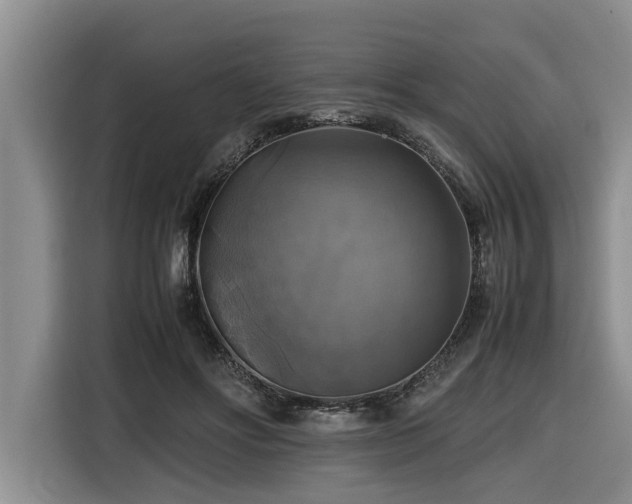 X0000116420502200912081507