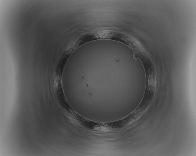 X0000116420503200912081507