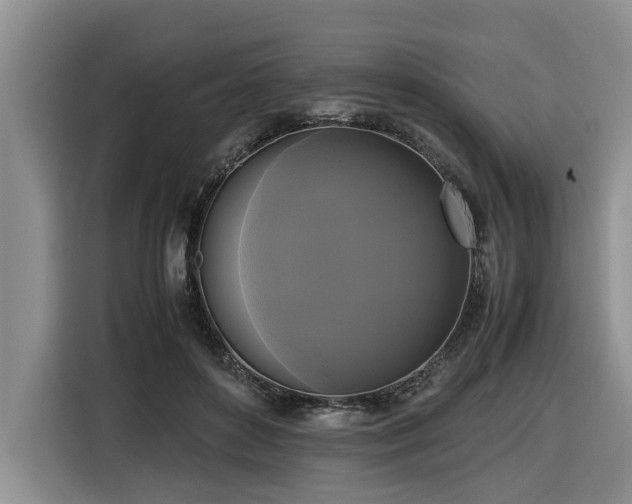 X0000116420504200912081507
