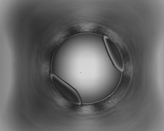 X0000116420505200912081507