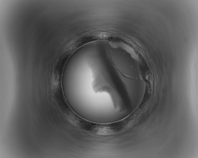 X0000116420507200912081507