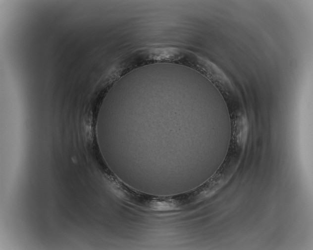 X0000116420510200912081507