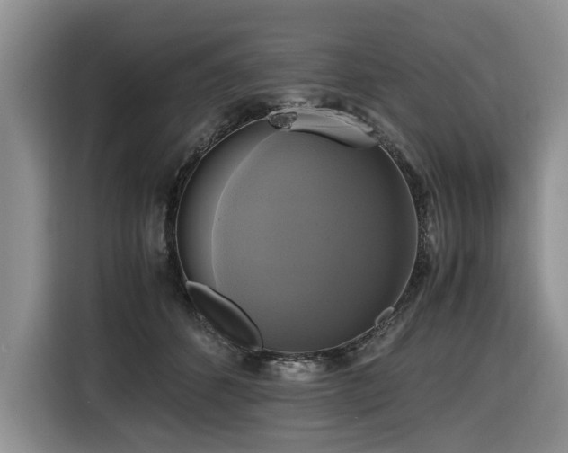 X0000116420512200912081507