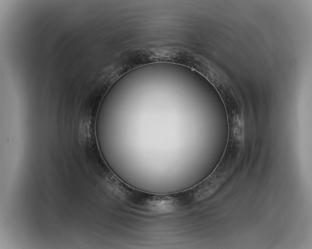 X0000116420514200912081506