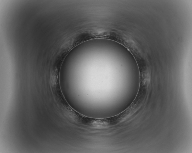 X0000116420515200912081506