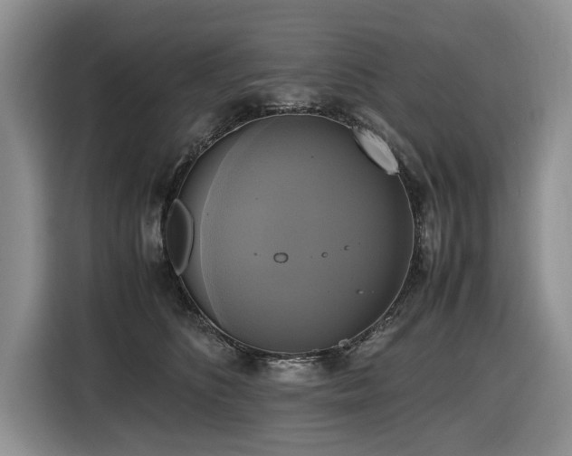 X0000116420516200912081506