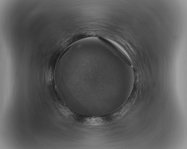 X0000116420517200912081506