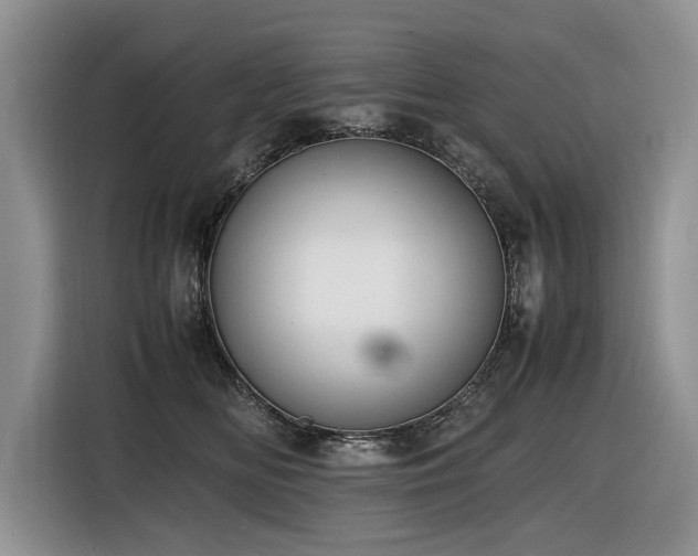 X0000116420518200912081506