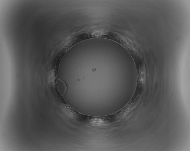 X0000116420519200912081506