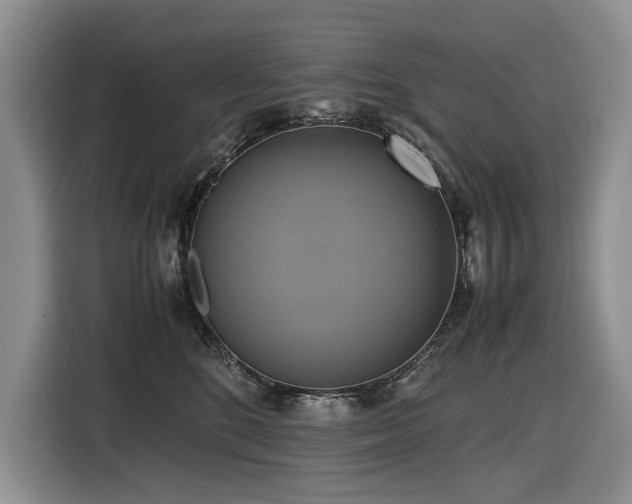 X0000116420520200912081506