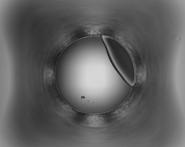 X0000116420521200912081506